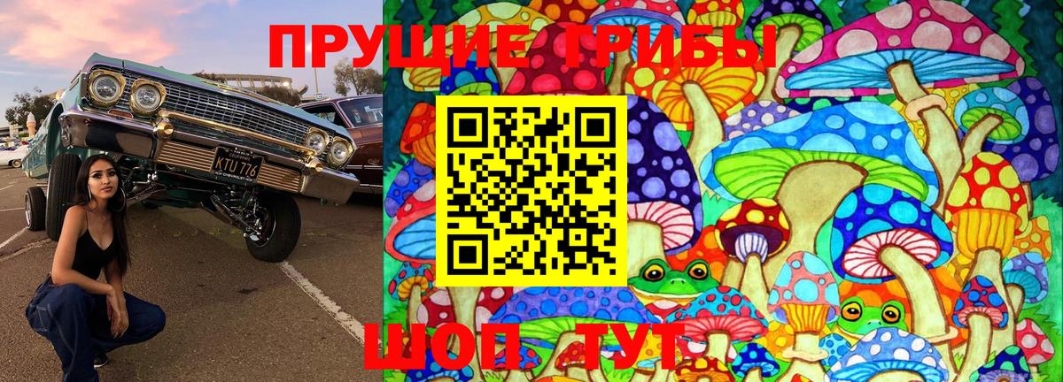Псилоцибиновые грибы MAGIC MUSHROOMS  Вход с VPN  Нижний Новгород 