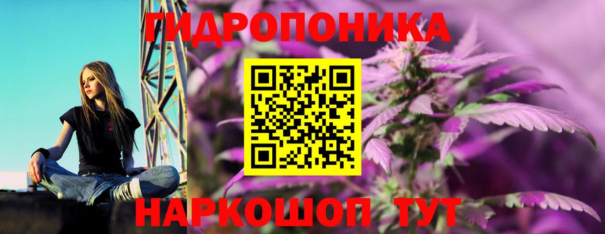Каннабис SATIVA & INDICA  Вход с VPN  Канабис LSD WEED  Нижний Новгород 